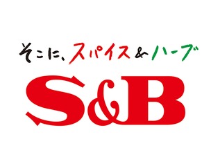 6 504975