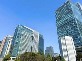 34 496021 1