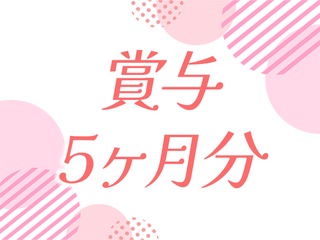 25 46504 2
