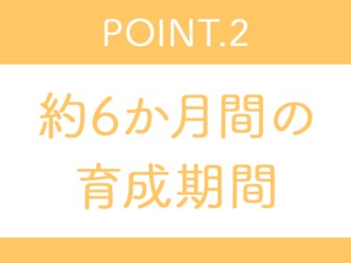 25 47629 2